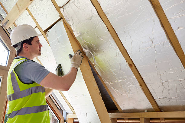 Best Insulation Inspection Services  in North Utica, IL